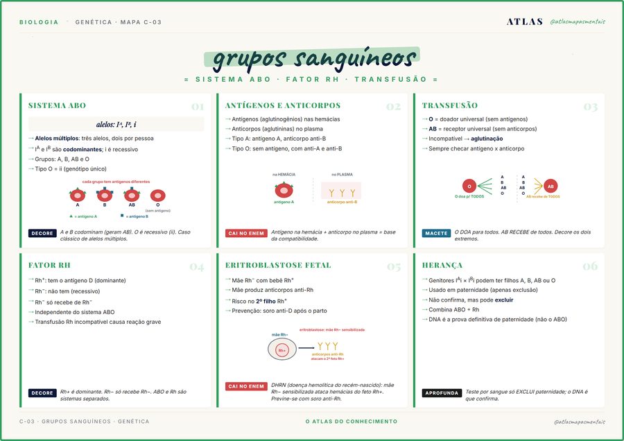 Mapa mental de Biologia sobre grupos sanguíneos: sistema ABO, antígenos e anticorpos, transfusão, fator Rh, eritroblastose fetal e herança — com selos de decore, cai no ENEM e macete.